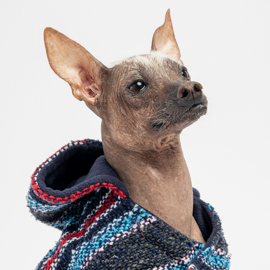 Baja Dog Poncho – Warm & Stylish Southwestern-Inspired Jacket with