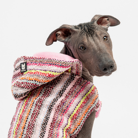 Baja Dog Poncho – Stylish & Cozy Pink Dog Jacket with Poop Bag