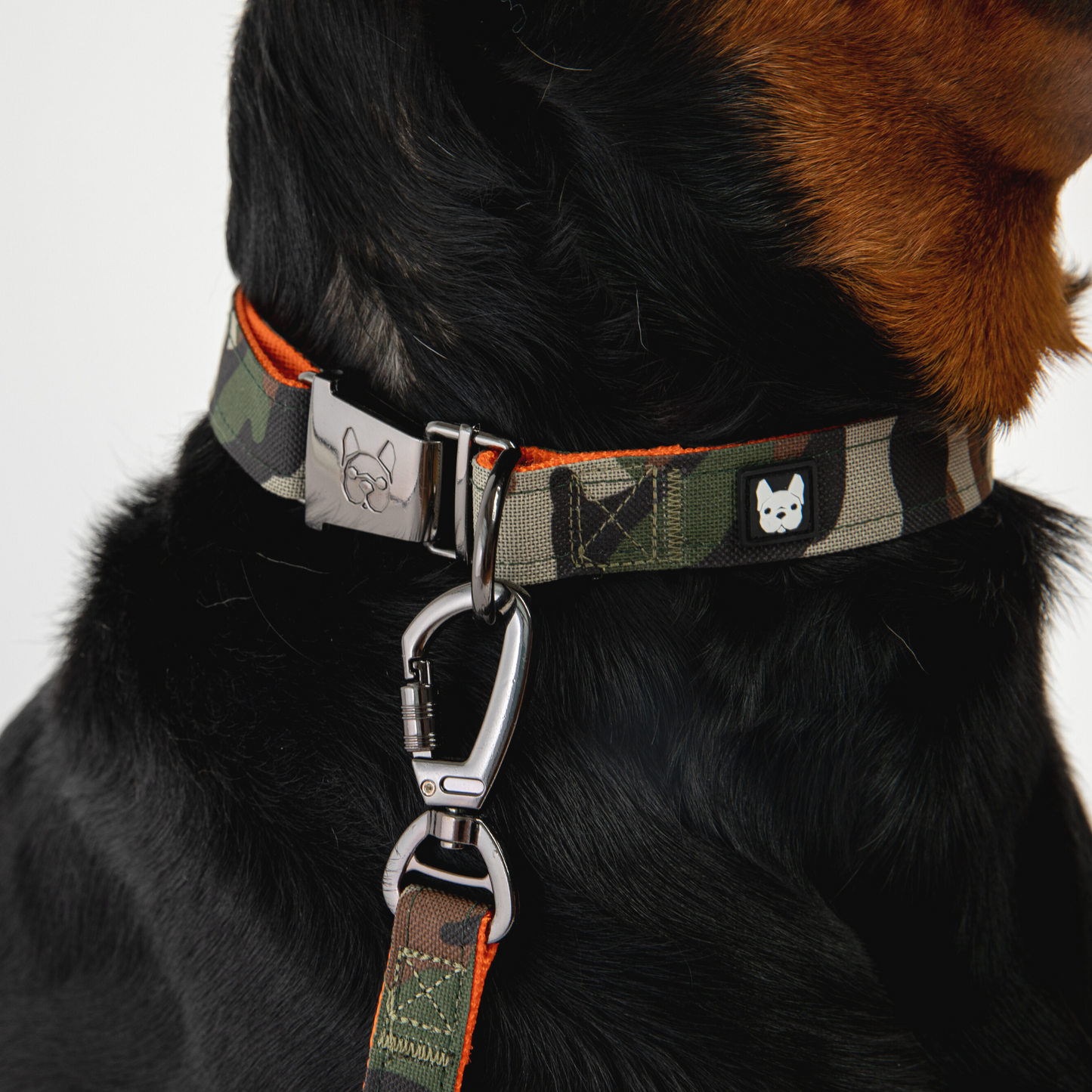 Camo Dog Collar – Durable Adjustable Collar with Patented Metal